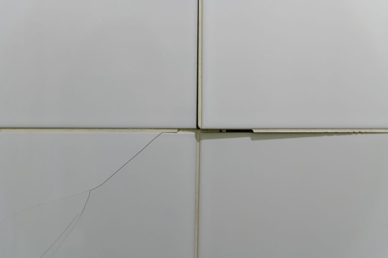 Experienced Tile Repair Experts